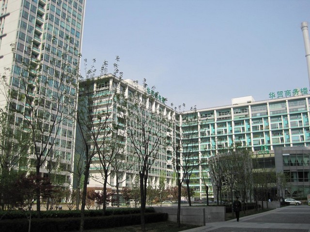 松江区疾病动物模型建模